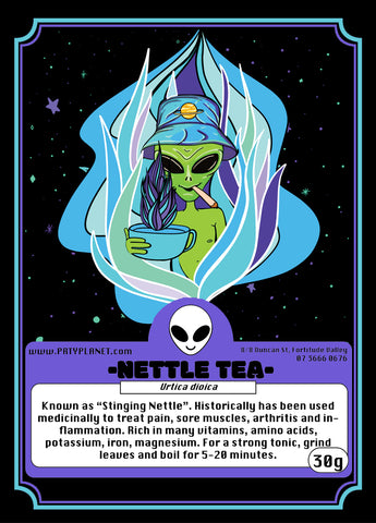 Nettle Tea